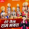 About Tere Jaisa Ram Bhagat Song
